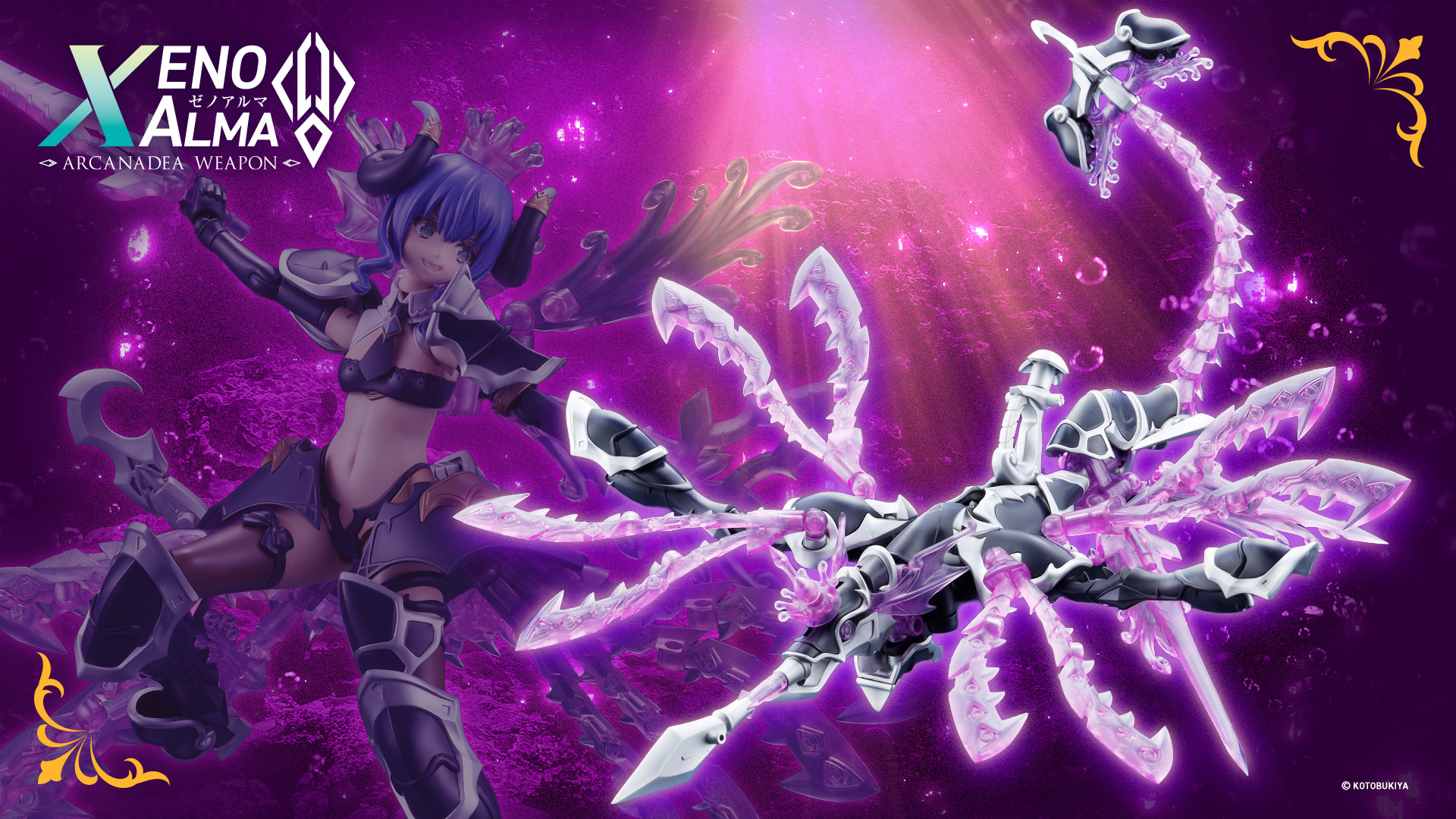 ゼノアルマ タイダル オルケートス