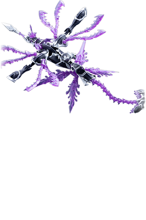 ゼノアルマ タイダル オルケートス